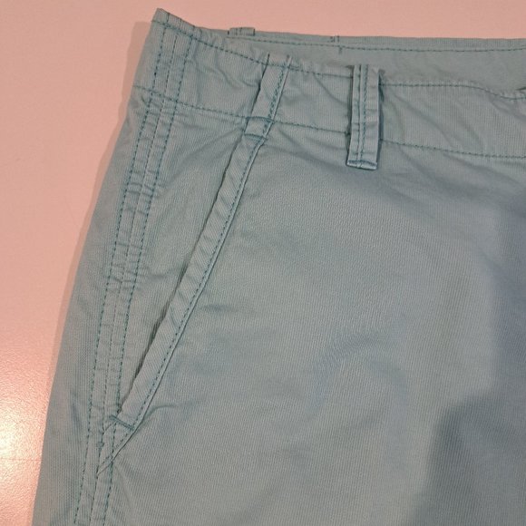 GAP Men's 33x10 Flat Front Sun Faded Bedford Shorts - Picture 5 of 16